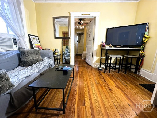 Media Image 3