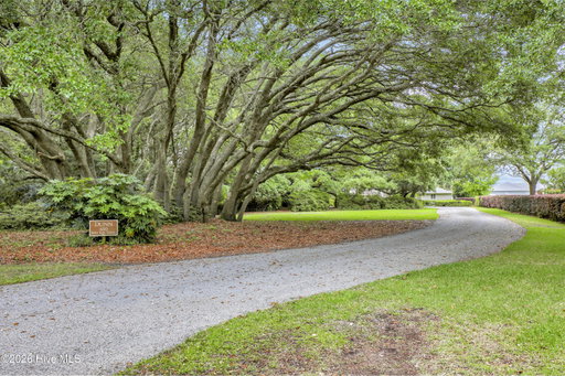 Media Image 3