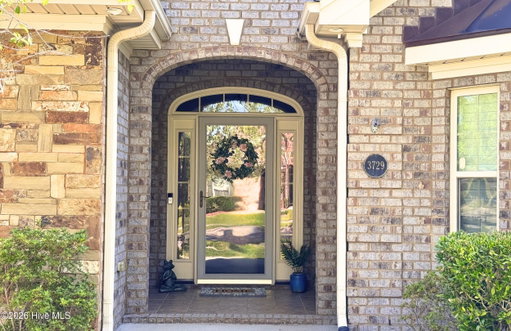 Media Image 3