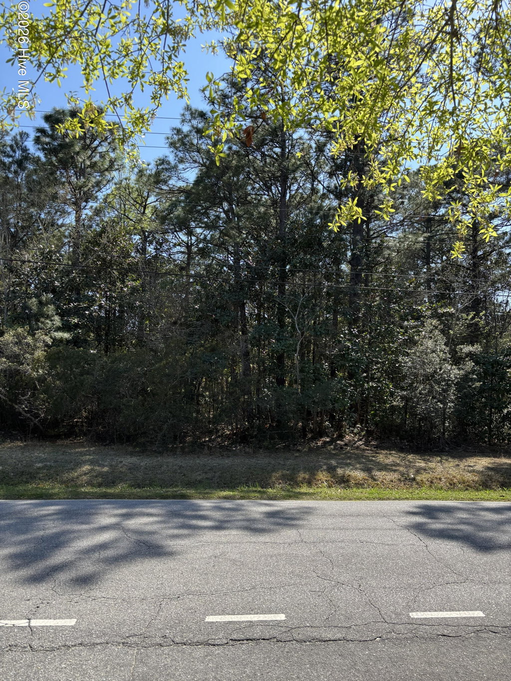 Image Unavailable