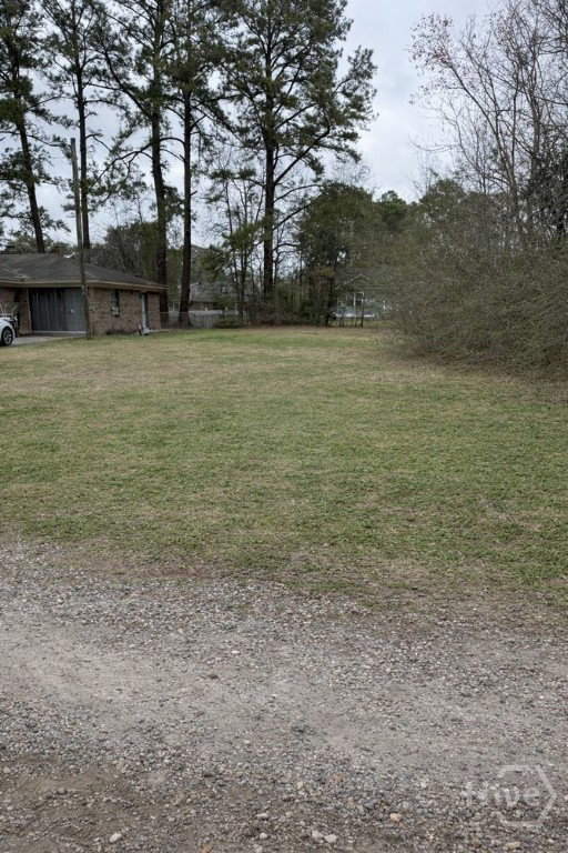 Media Image 3