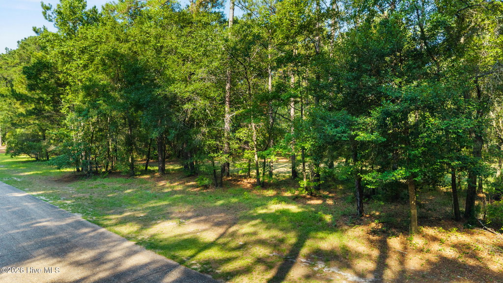 230 River Woods Dr, Wallace, NC 28466