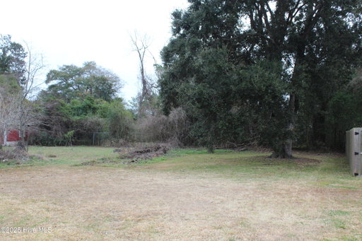 Media Image 3