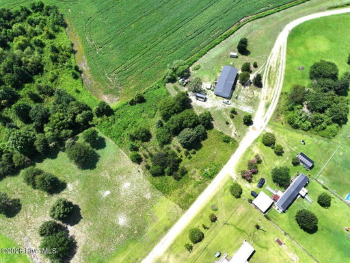 Media Image 2