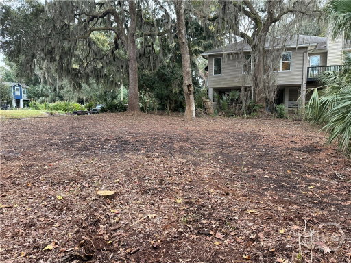 Media Image 3
