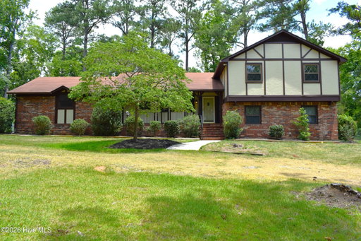 Media Image 2