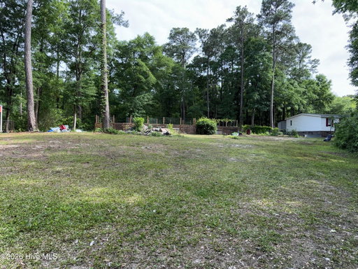Media Image 3