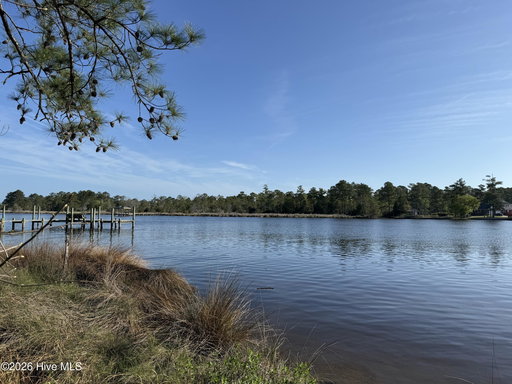 Media Image 2