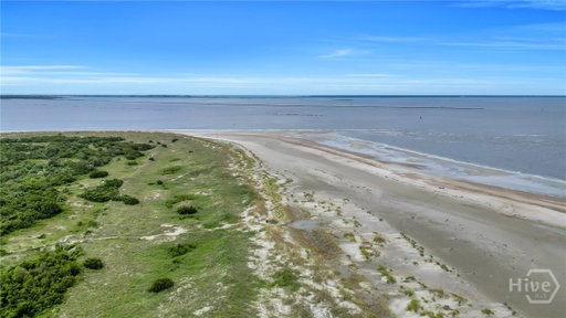 Media Image 3