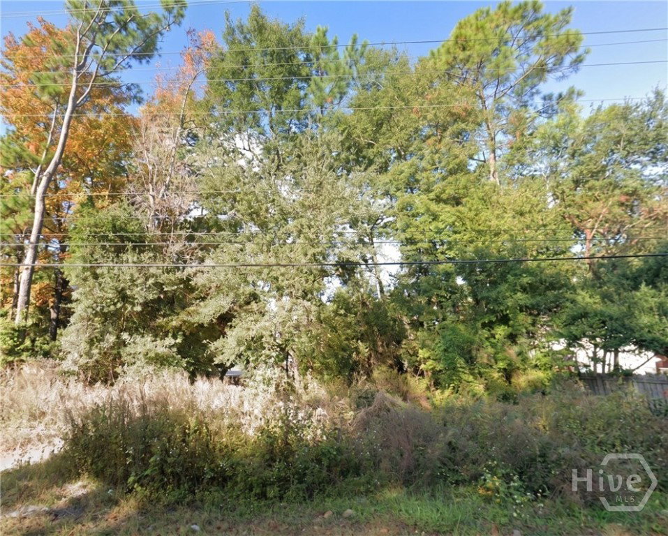 Image Unavailable