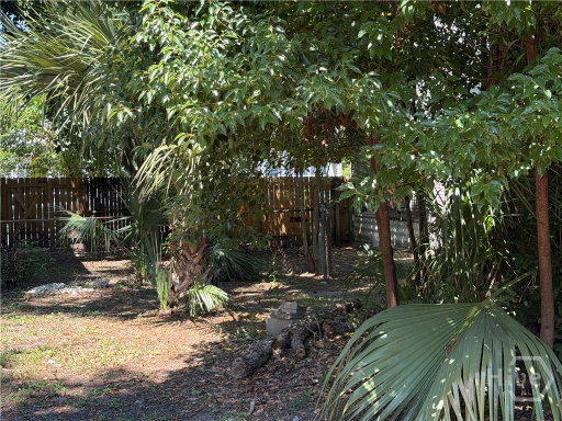Media Image 2