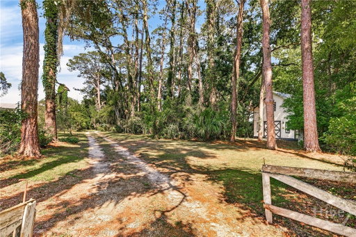 Media Image 2