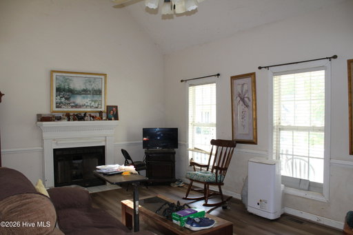 Media Image 3