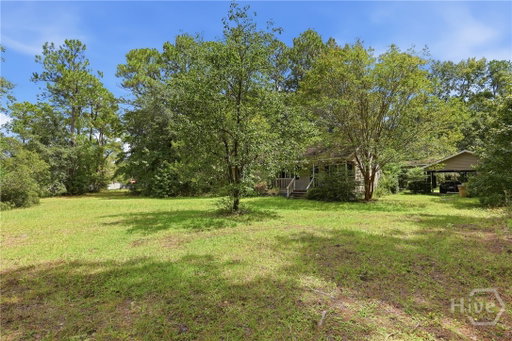 Media Image 3