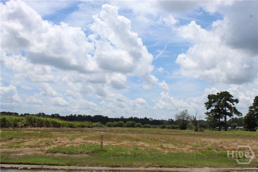 Media Image 2