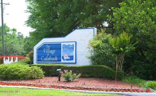 Media Image 2