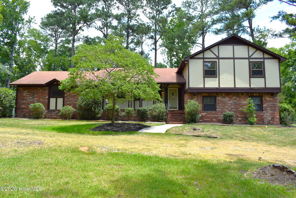 Media Image 1