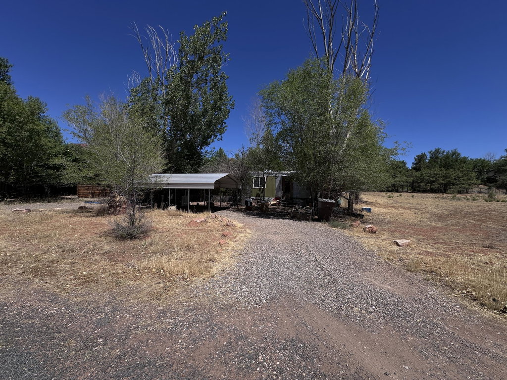 Media Image 1
