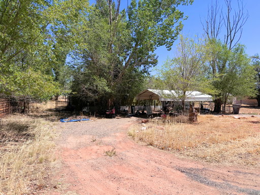 Media Image 3