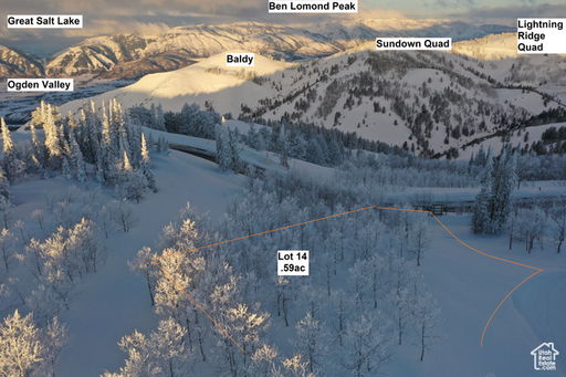 Media Image 3