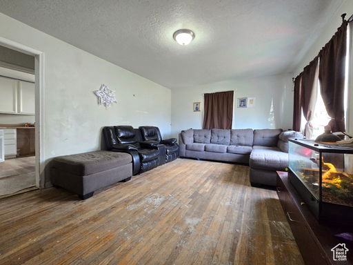 Media Image 3