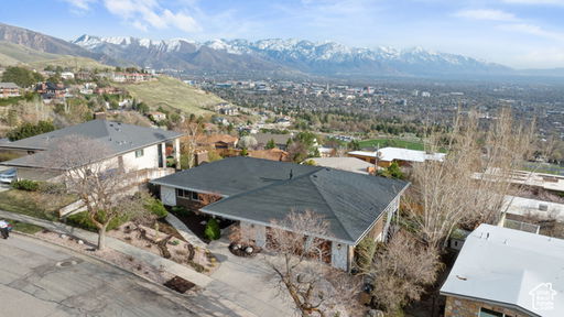 Media Image 2