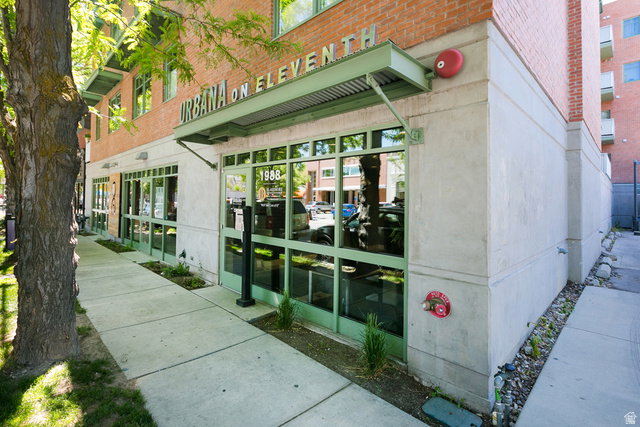 Media Image 1