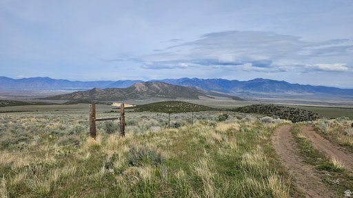 Media Image 3