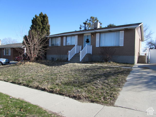 Media Image 1