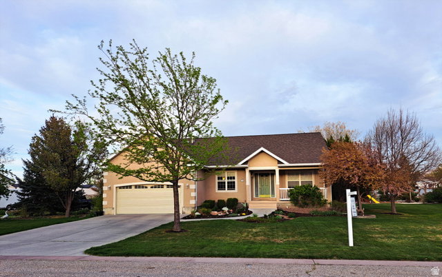 Media Image 1