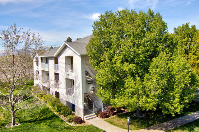 Media Image 1