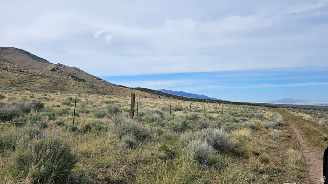 Media Image 1