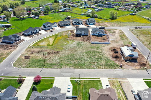 Media Image 3