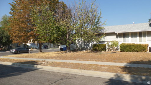 Media Image 3