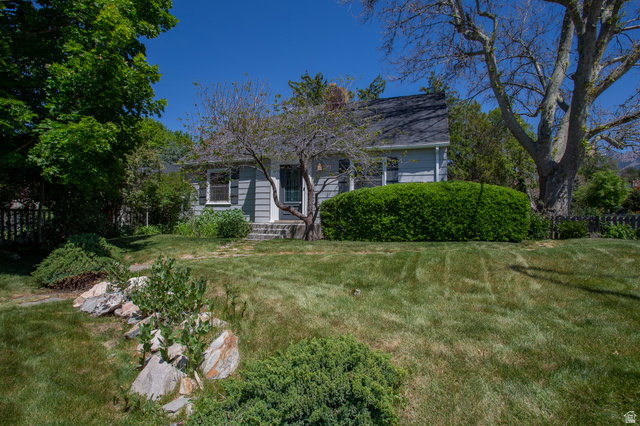 Media Image 1