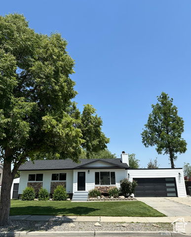 Media Image 2