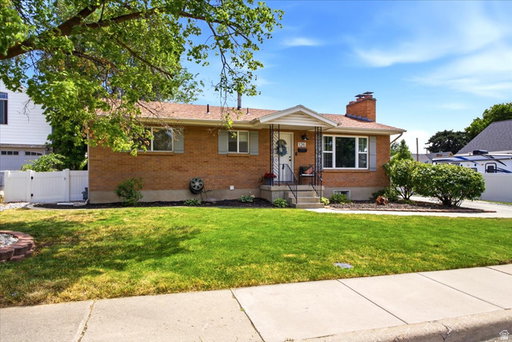 Media Image 2