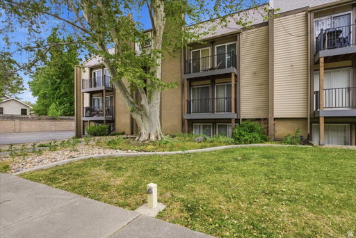 Media Image 2