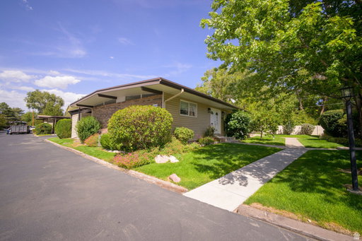 Media Image 3