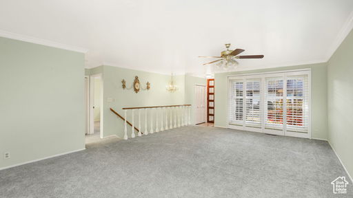 Media Image 3