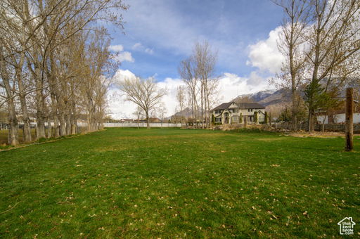 Media Image 2