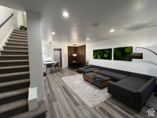 Media Image 2