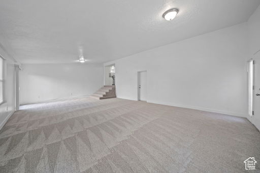 Media Image 3