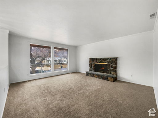 Media Image 3