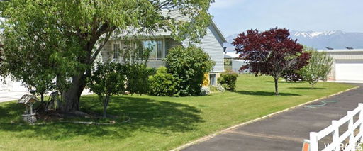 Media Image 2