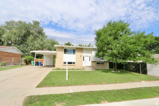 Media Image 3