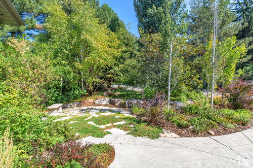 Media Image 3