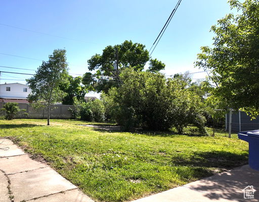 Media Image 3