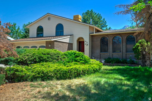Media Image 2
