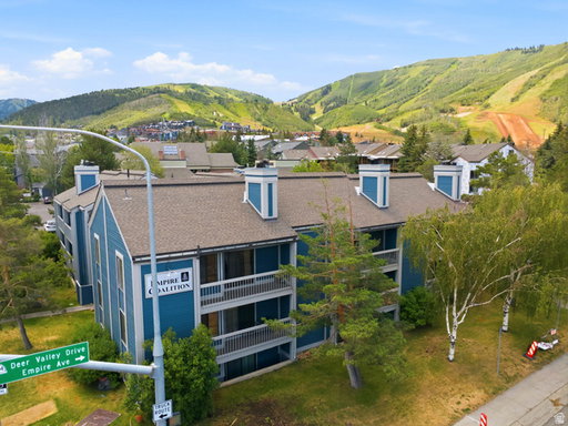 Media Image 2